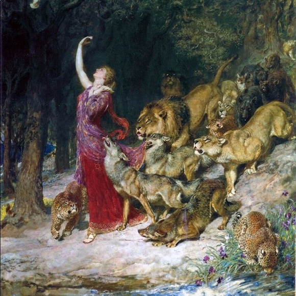 About My Posh Shop - Picture 1 of 1